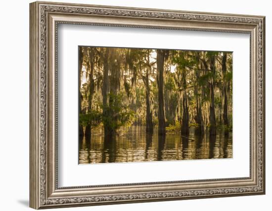 Louisiana, Atchafalaya Basin. Cypress Trees Reflect in Swamp-Jaynes Gallery-Framed Photographic Print