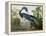 Louisiana Heron from "Birds of America"-John James Audubon-Framed Premier Image Canvas