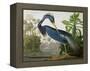 Louisiana Heron from "Birds of America"-John James Audubon-Framed Premier Image Canvas