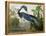 Louisiana Heron from "Birds of America"-John James Audubon-Framed Premier Image Canvas