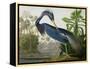 Louisiana Heron from "Birds of America"-John James Audubon-Framed Premier Image Canvas