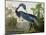 Louisiana Heron from "Birds of America"-John James Audubon-Mounted Premium Giclee Print