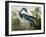 Louisiana Heron from "Birds of America"-John James Audubon-Framed Giclee Print