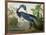 Louisiana Heron from "Birds of America"-John James Audubon-Framed Giclee Print