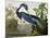 Louisiana Heron from "Birds of America"-John James Audubon-Mounted Giclee Print
