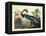 Louisiana Heron Plate 217-Porter Design-Framed Premier Image Canvas