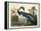 Louisiana Heron Plate 217-Porter Design-Framed Premier Image Canvas