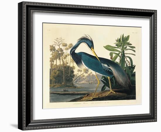 Louisiana Heron Plate 217-Porter Design-Framed Giclee Print