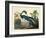 Louisiana Heron Plate 217-Porter Design-Framed Giclee Print