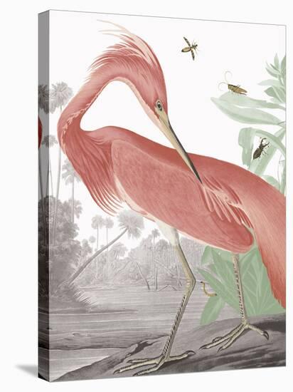 Louisiana Heron - Tropical-Eccentric Accents-Framed Stretched Canvas