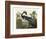 Louisiana Heron-John James Audubon-Framed Art Print