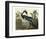 Louisiana Heron-John James Audubon-Framed Art Print