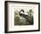 Louisiana Heron-John James Audubon-Framed Art Print