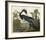 Louisiana Heron-John James Audubon-Framed Art Print