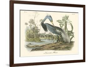 Louisiana Heron-John James Audubon-Framed Art Print