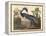 Louisiana Heron-John James Audubon-Framed Premier Image Canvas