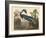 Louisiana Heron-John James Audubon-Framed Giclee Print