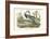 Louisiana Heron-John James Audubon-Framed Art Print