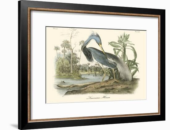 Louisiana Heron-John James Audubon-Framed Art Print