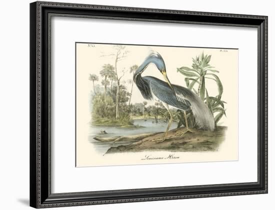 Louisiana Heron-John James Audubon-Framed Art Print