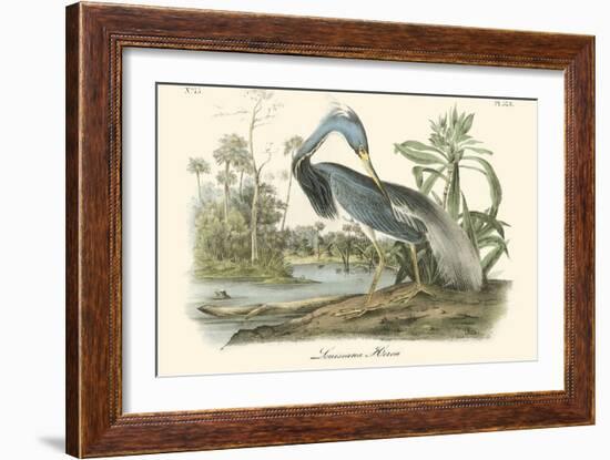 Louisiana Heron-John James Audubon-Framed Art Print