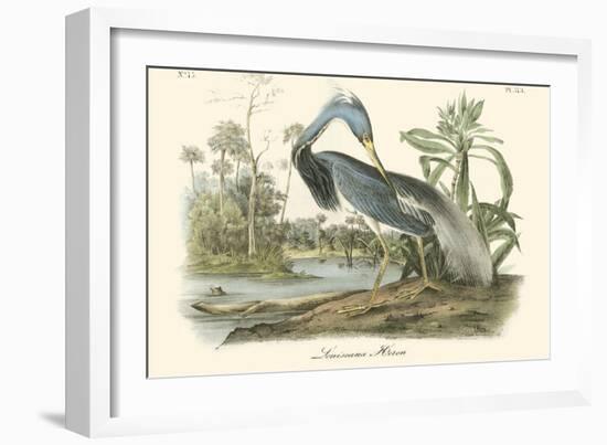 Louisiana Heron-John James Audubon-Framed Art Print