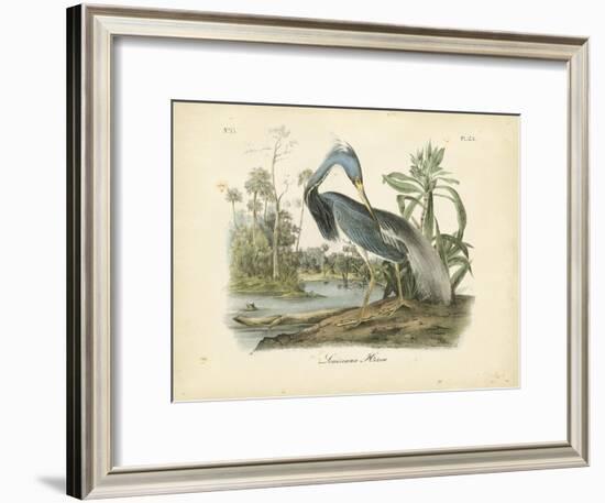 Louisiana Heron-John James Audubon-Framed Art Print