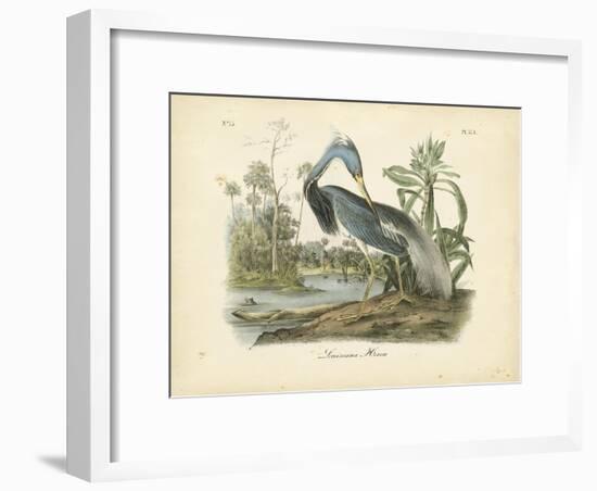 Louisiana Heron-John James Audubon-Framed Art Print