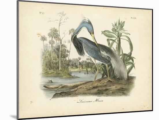 Louisiana Heron-John James Audubon-Mounted Art Print