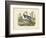 Louisiana Heron-John James Audubon-Framed Art Print