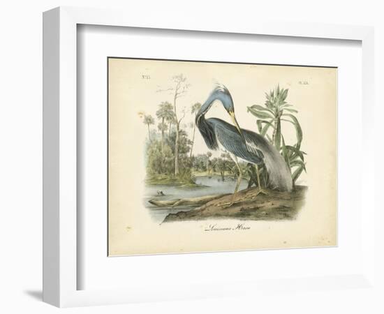 Louisiana Heron-John James Audubon-Framed Art Print