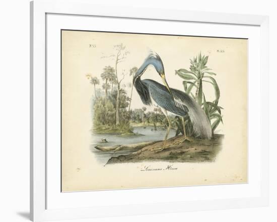 Louisiana Heron-John James Audubon-Framed Art Print