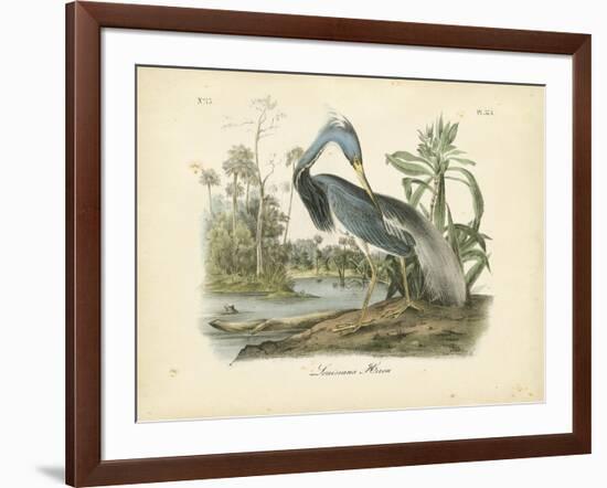 Louisiana Heron-John James Audubon-Framed Art Print