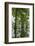 Louisiana, Miller's Lake. Tupelo Trees Reflect in Lake-Jaynes Gallery-Framed Photographic Print