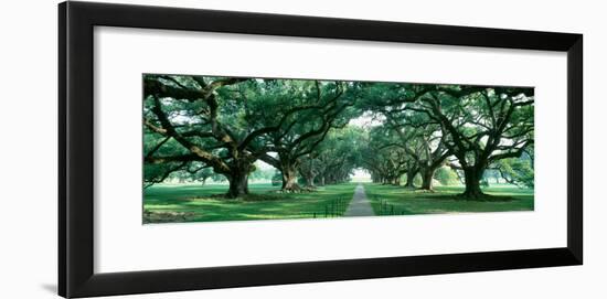 Louisiana, New Orleans, Brick Path Through Alley of Oak Trees-null-Framed Photographic Print