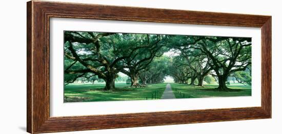 Louisiana, New Orleans, Brick Path Through Alley of Oak Trees-null-Framed Photographic Print