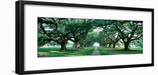 Louisiana, New Orleans, Brick Path Through Alley of Oak Trees-null-Framed Photographic Print