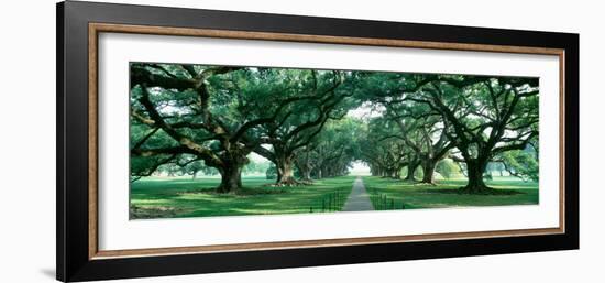 Louisiana, New Orleans, Brick Path Through Alley of Oak Trees-null-Framed Photographic Print