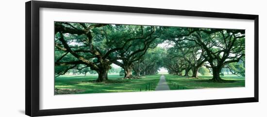 Louisiana, New Orleans, Brick Path Through Alley of Oak Trees--Framed Photographic Print