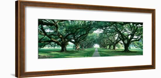 Louisiana, New Orleans, Brick Path Through Alley of Oak Trees-null-Framed Photographic Print