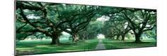 Photographic Print