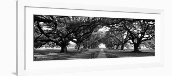 Louisiana, New Orleans, Brick Path Through Alley of Oak Trees-null-Framed Photographic Print