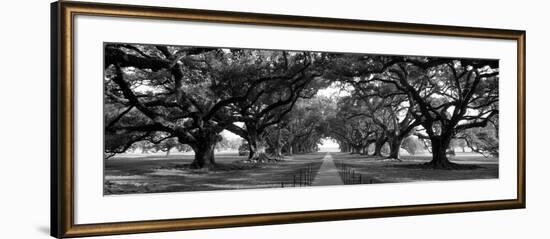 Louisiana, New Orleans, Brick Path Through Alley of Oak Trees-null-Framed Photographic Print