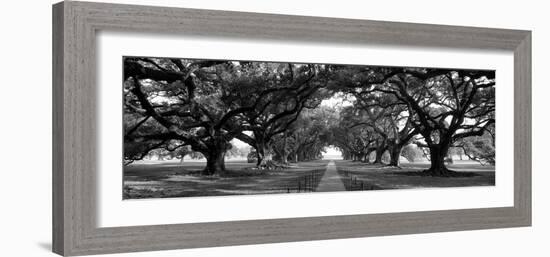 Louisiana, New Orleans, Brick Path Through Alley of Oak Trees-null-Framed Photographic Print