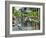 Louisiana, New Orleans, French Quarter, Royal Street-John Coletti-Framed Photographic Print