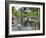 Louisiana, New Orleans, French Quarter, Royal Street-John Coletti-Framed Photographic Print