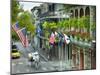 Louisiana, New Orleans, French Quarter, Royal Street-John Coletti-Mounted Photographic Print