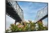 Louisiana. New Orleans, Lower Mississippi River Basin, the Greater New Orleans Bridge-Alison Jones-Mounted Photographic Print