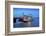 Louisiana, New Orleans, Natchez Steamboat, Mississippi River-John Coletti-Framed Photographic Print