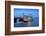 Louisiana, New Orleans, Natchez Steamboat, Mississippi River-John Coletti-Framed Photographic Print